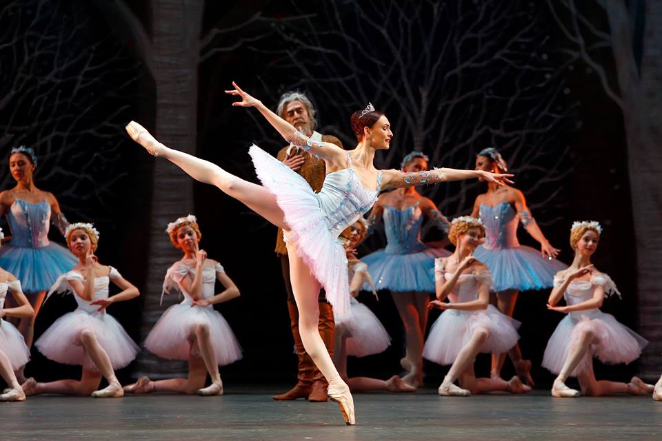 Gabriela Simion Balsoi