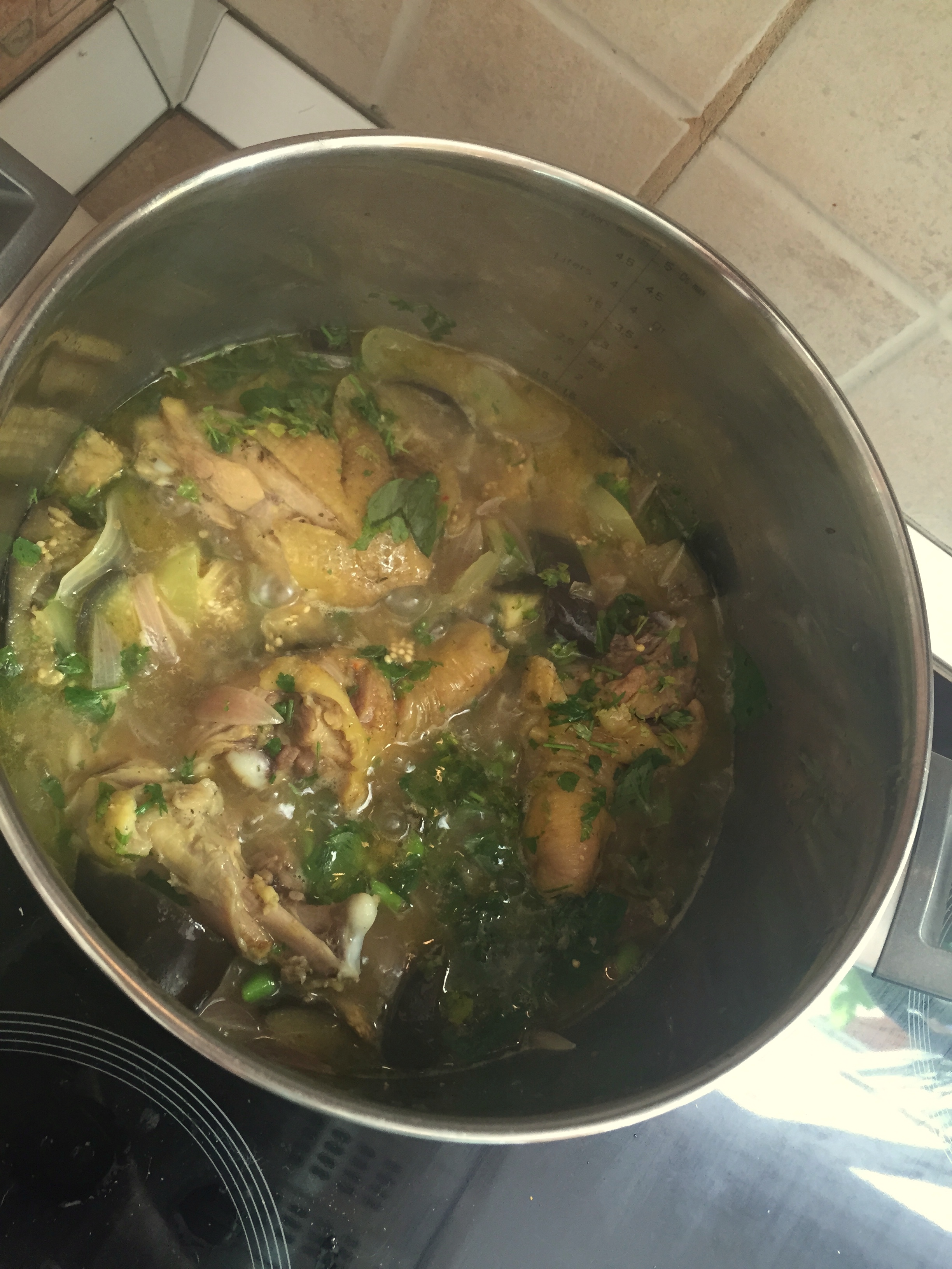 Poze Tocanita cu Pui de Tara Gabriela Simion Poze Tocanita cu Pui de Tara Gabriela Simion