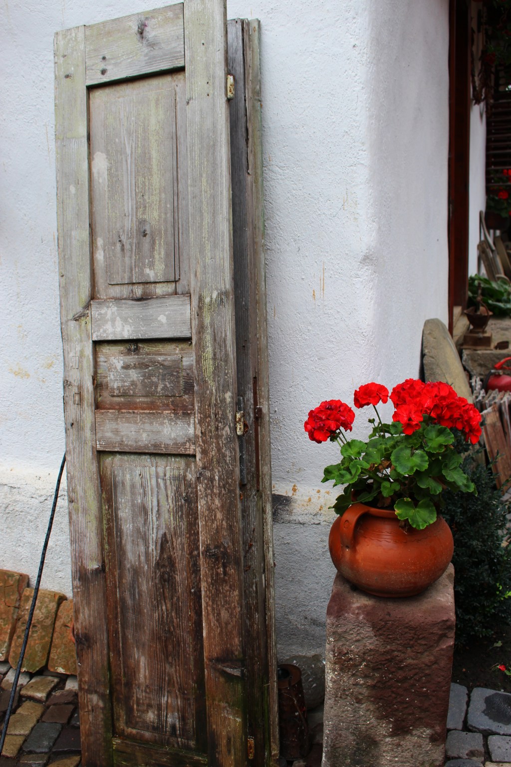 DESCOPERIND COVASNA #1