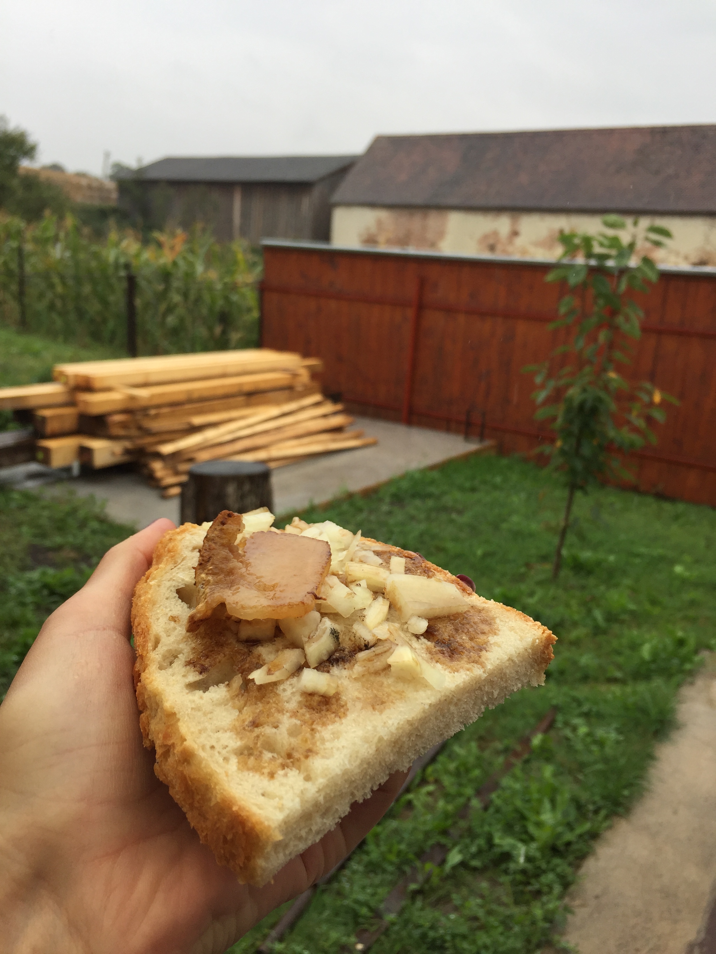 Gabriela Simion Vacanta in Covasna Meniu Delicios