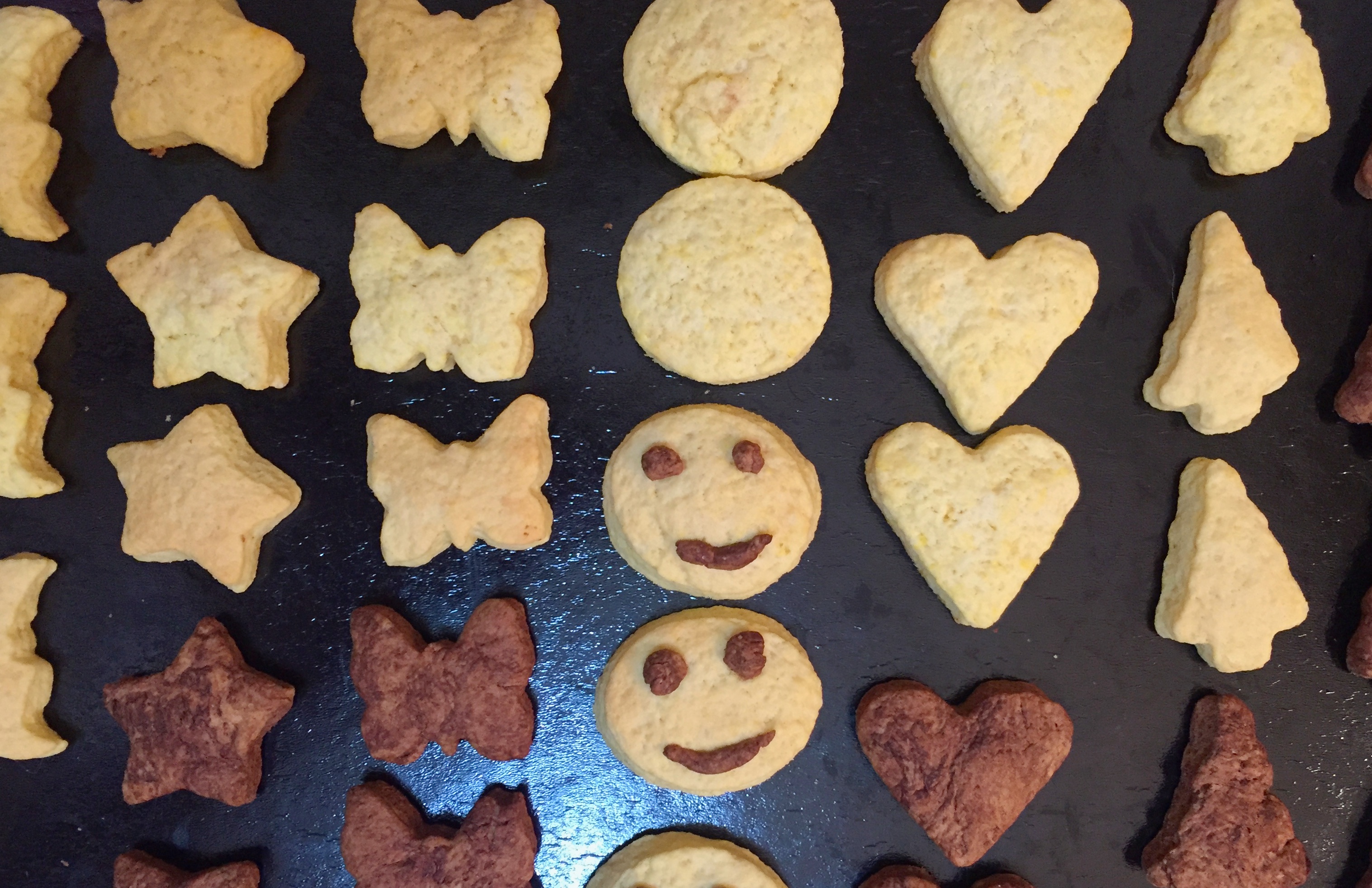 Reteta De Biscuiti Facuti in Casa Gabriela Simion