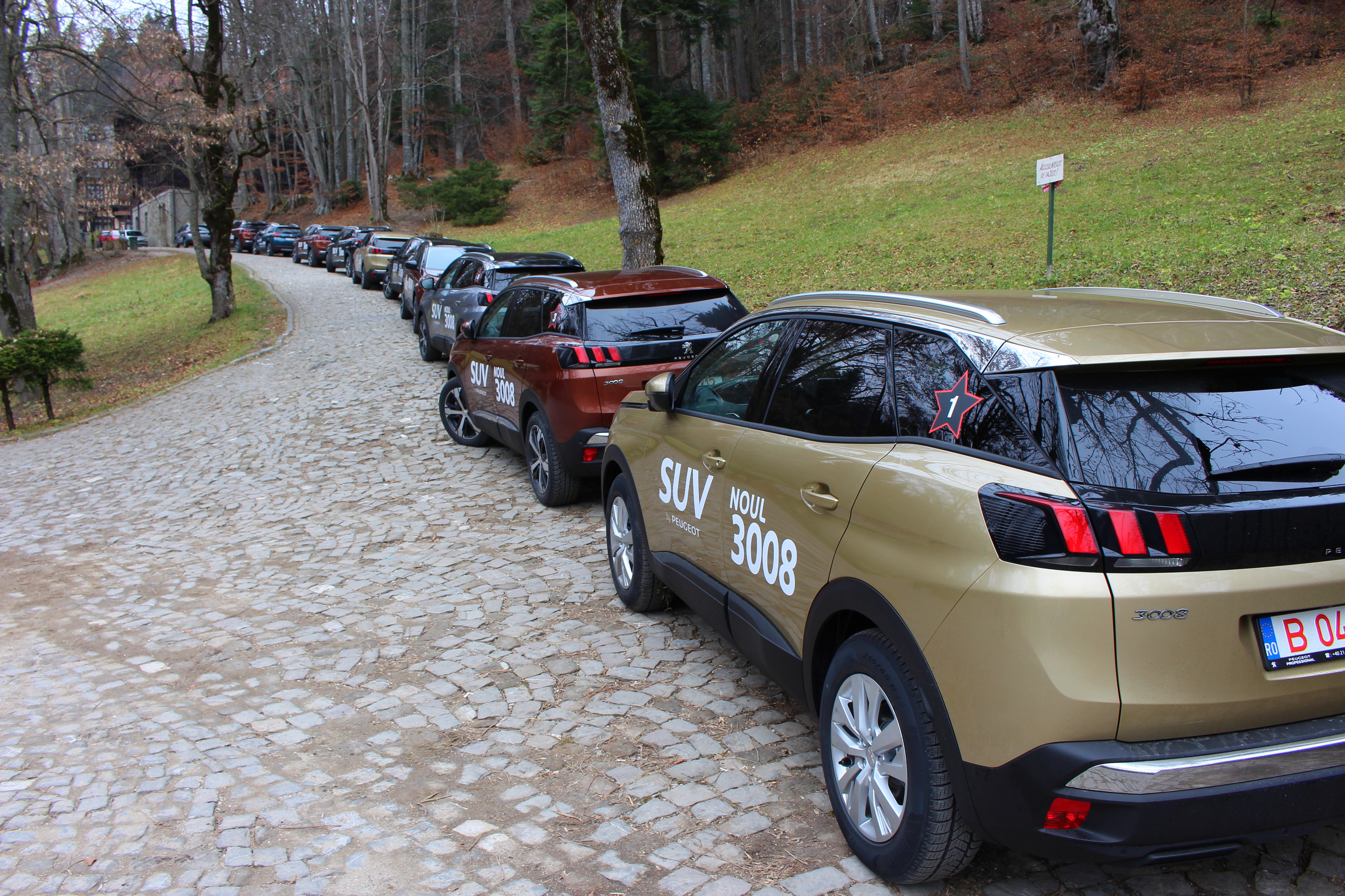 Coloana Peugeot 3008 Crossover Peles Sinaia