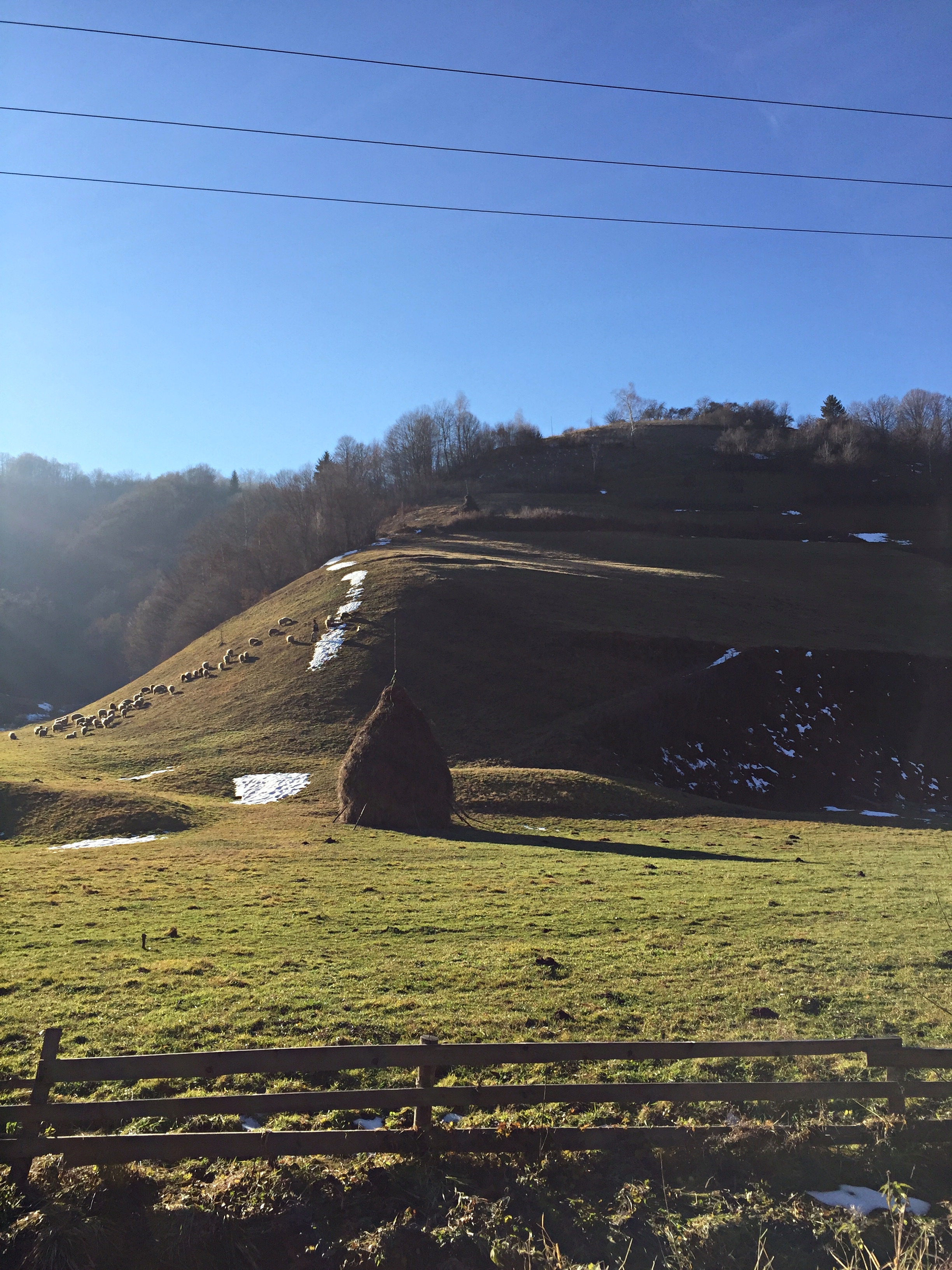 Gabriela Simion Peisaj de Vacanta