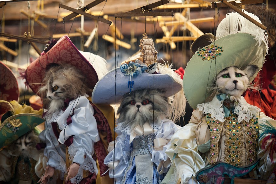 pisici-carnavalul-de-la-venetia-gabriela-simion