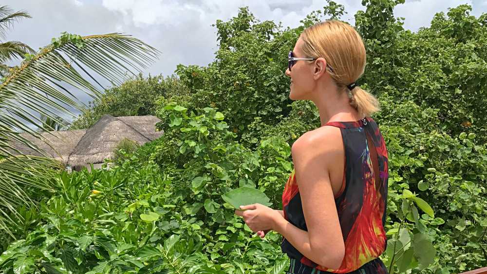 Excursii de Vis, Maldive, Gabriela Simion