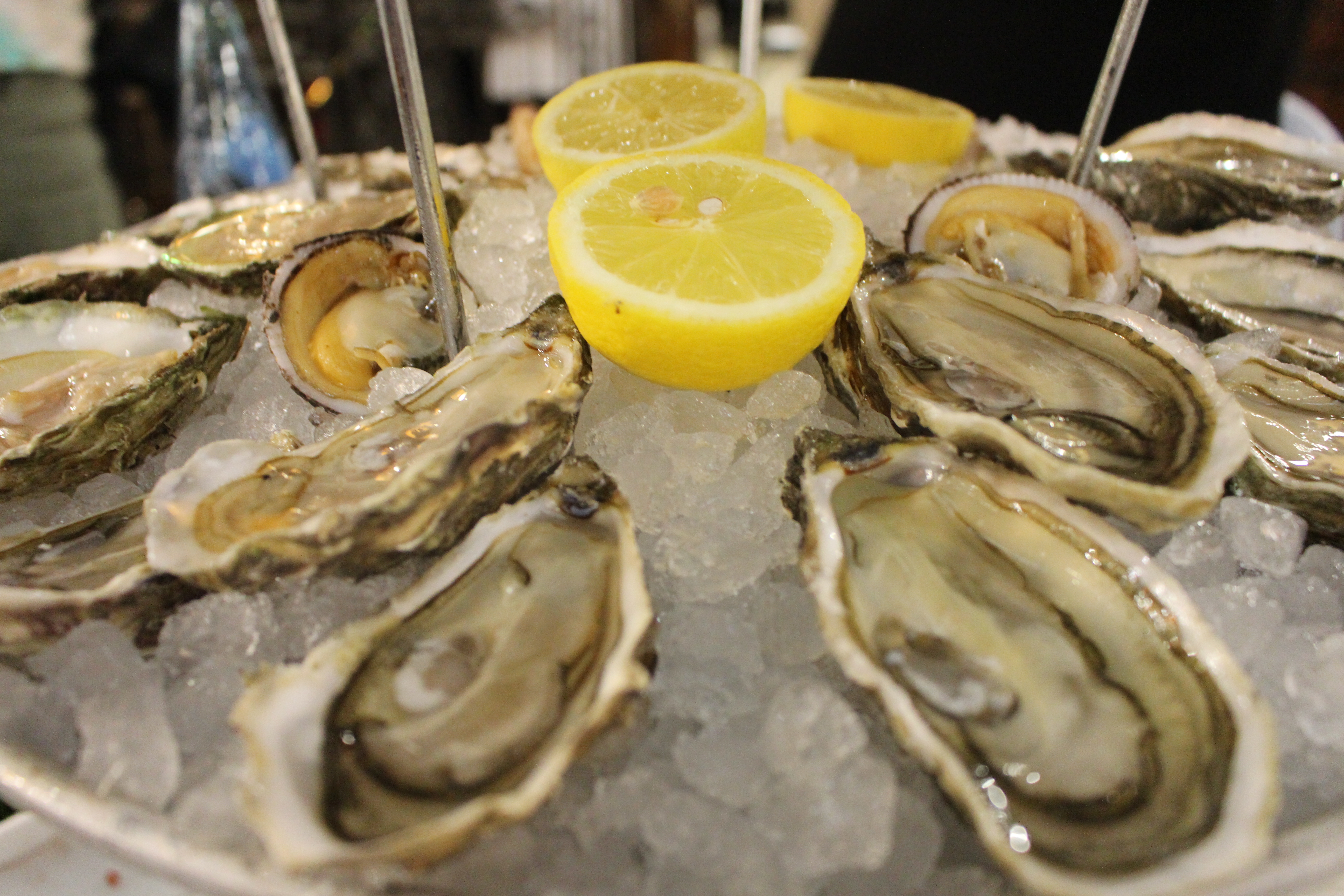 Paris_Gabriela_Simion_Sejur_Vacanta_Jadore08