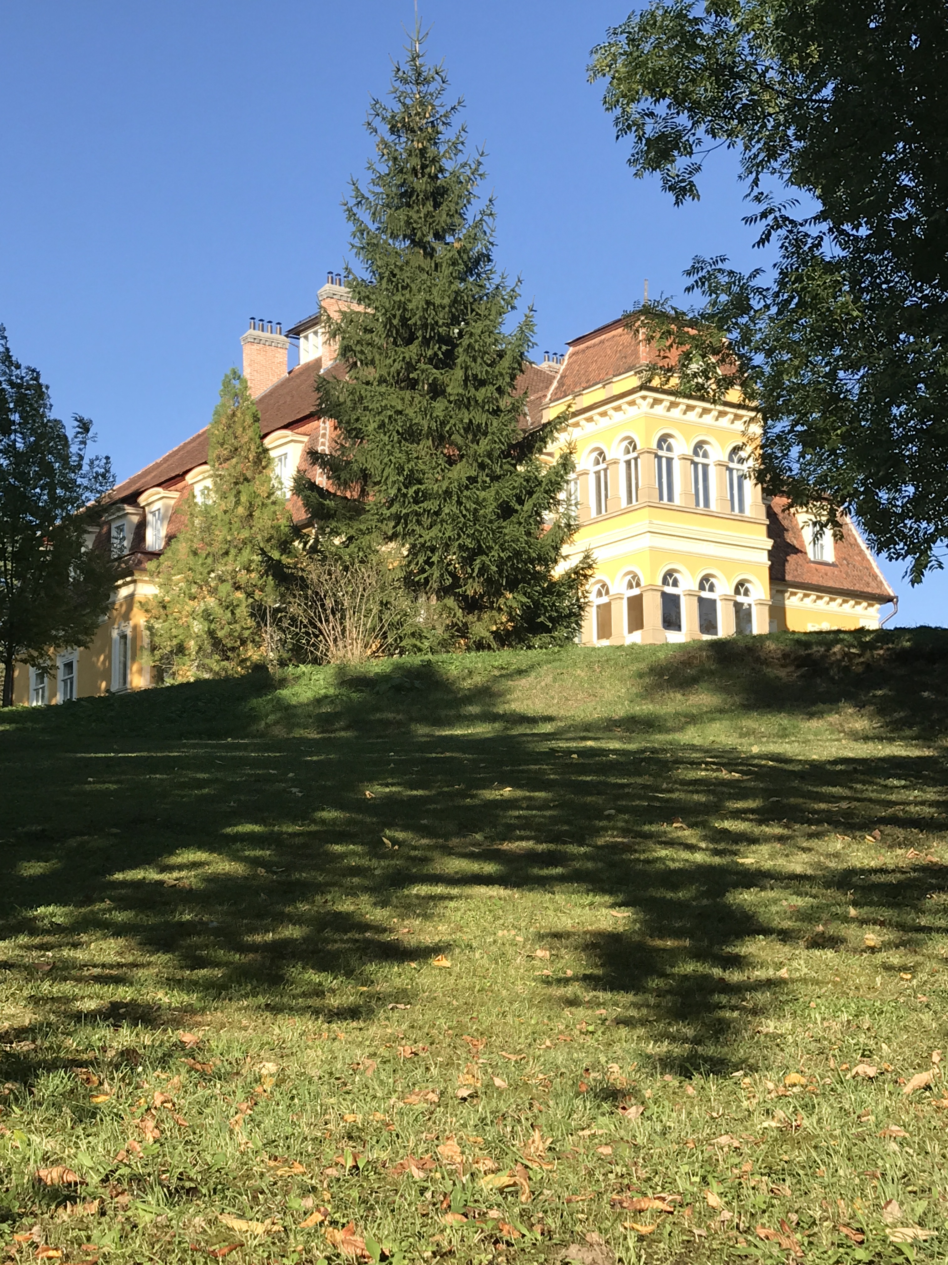 Gabriela Simion, Covasna