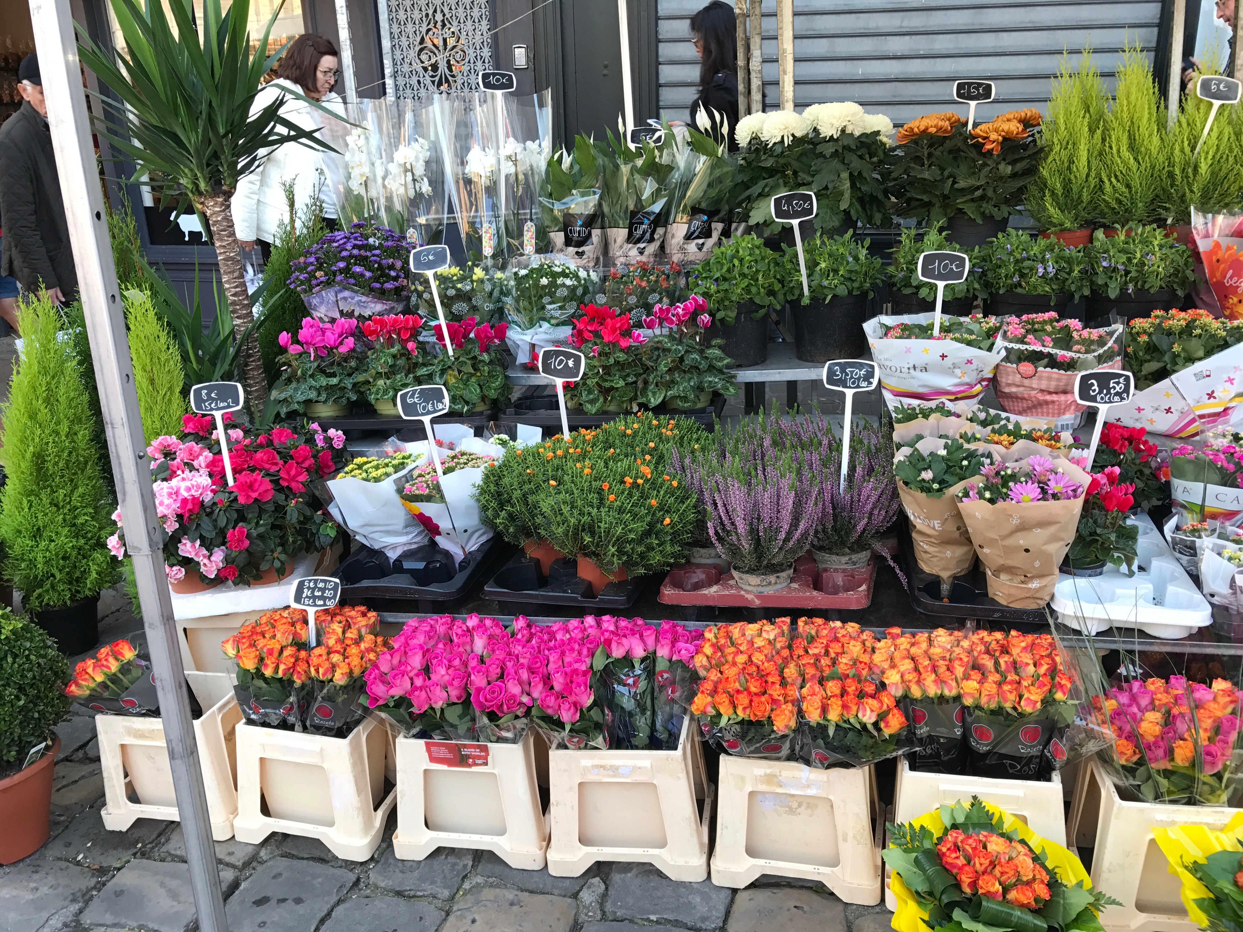 Normandy_Gabriela_Simion22Honfleur